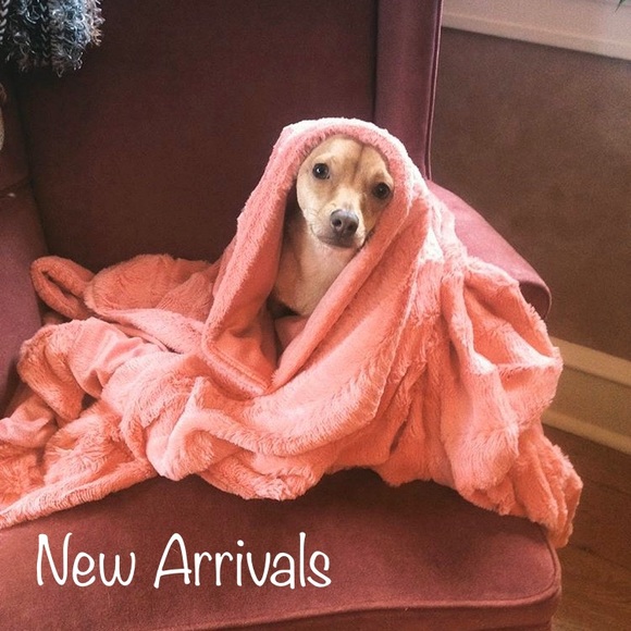 π new listings π - Picture 2 of 7